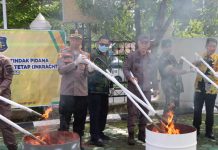 Barang Bukti Tindak Pidana Narkotika 71 Perkara Dimusnahkan