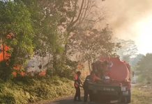 Waspada Karhutla Mengintai, Lahan Depan SMA 2 Terbakar