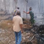 Kebun Karet di Mangun Jayo Bungo Terbakar, Api Sempat Meluas