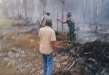 Kebun Karet di Mangun Jayo Bungo Terbakar, Api Sempat Meluas