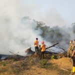 Lahan Kosong di Manggis Terbakar, Api Nyaris Mendekati Perumahan
