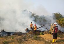 Lahan Kosong di Manggis Terbakar, Api Nyaris Mendekati Perumahan