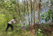 Hotspot Terdeteksi, Polisi Temukan 3 Hektare Lahan Terbakar di Sepunggur