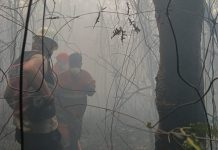Sekitar 3 Hektare Lahan Terbakar di Limbur, Polisi Selidiki Penyebabnya