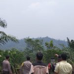 Hotspot Terdeteksi di Pelepat, Petugas Sisir Perkebunan PT CSH
