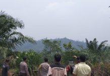 Hotspot Terdeteksi di Pelepat, Petugas Sisir Perkebunan PT CSH